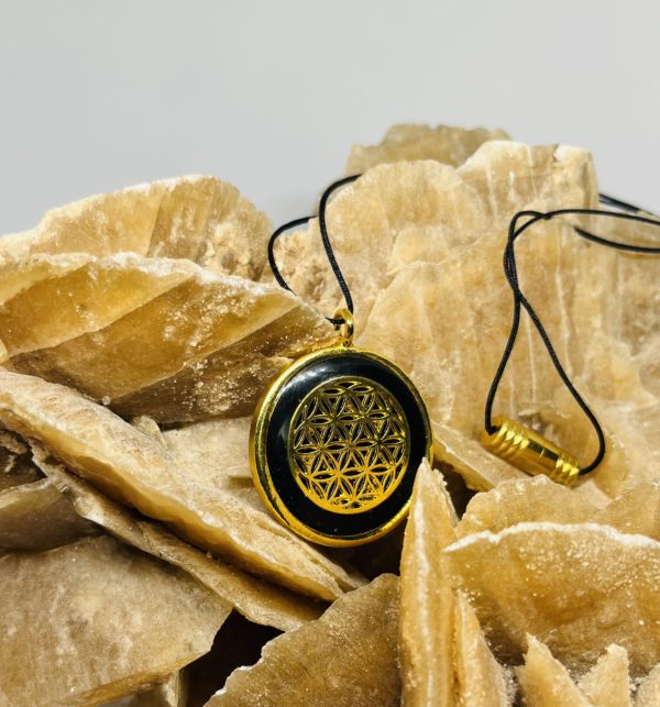 Black & Gold Shungite Pendant